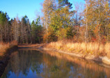 Pond Reflections by JEdMc91, photography->landscape gallery