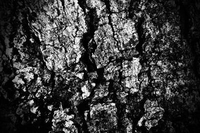 Click here to view at full resolution.