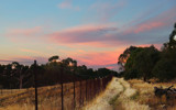 Fenceline by Mythmaker, Photography->Landscape gallery