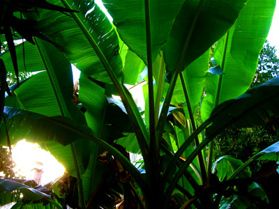 Click here to view at full resolution.