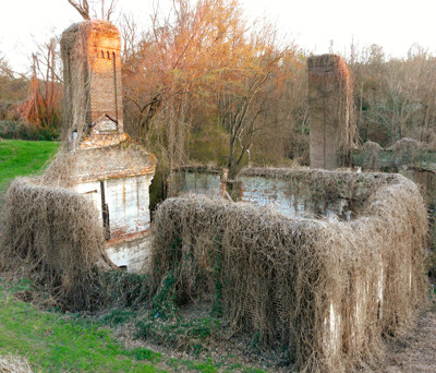 Click here to view at full resolution.