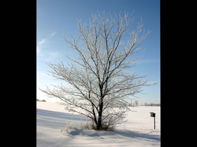 Click here to view at full resolution.