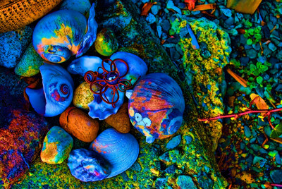 Click here to view at full resolution.