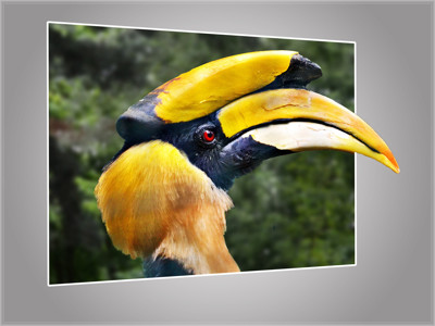 Click here to view at full resolution.