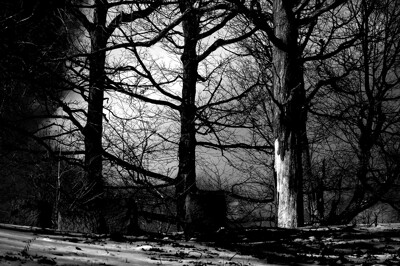 Click here to view at full resolution.