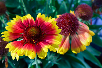 Click here to view at full resolution.