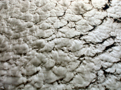 Click here to view at full resolution.