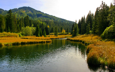 Click here to view at full resolution.