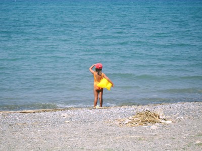 Click here to view at full resolution.