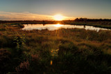 Sundown at Balloerveld by japio, photography->landscape gallery