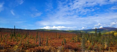 Click here to view at full resolution.