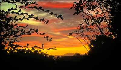 Click here to view at full resolution.