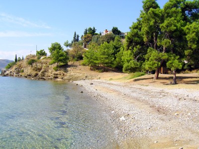 Click here to view at full resolution.