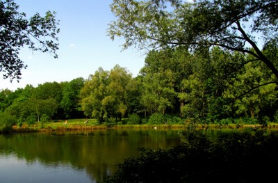 Click here to view at full resolution.