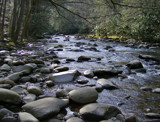 Gatlinburg Creek by JEdMc91, Photography->Landscape gallery