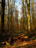 vertical one.. by gaeljet2, Photography->Landscape gallery