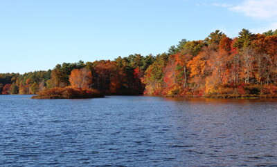 Click here to view at full resolution.