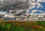 HDR revised 66 by gaeljet2, Photography->Landscape gallery