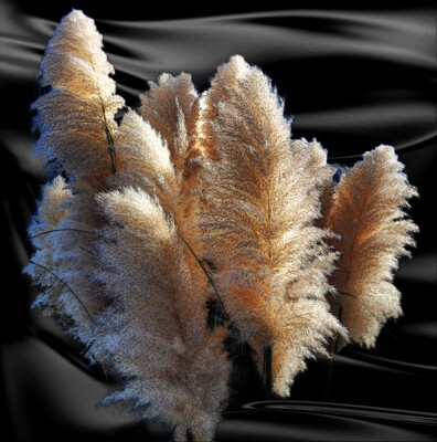 Click here to view at full resolution.