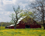 Barn In Spring Dress by PatAndre, photography->landscape gallery