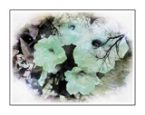 4 Friday Feb. 14th by Starglow, photography->manipulation gallery