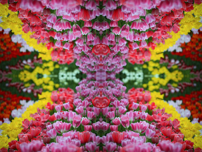 Click here to view at full resolution.