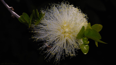 Click here to view at full resolution.