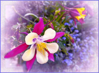 Click here to view at full resolution.