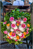 Gig Foofies 150 by corngrowth, photography->flowers gallery