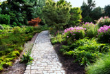 Garden Path by Ramad, photography->gardens gallery