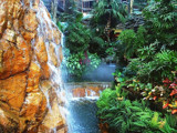 Las Vegas Mirage Waterfall by RenieRenee, Photography->Waterfalls gallery