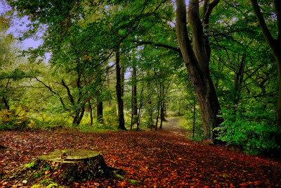 Click here to view at full resolution.