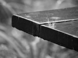 Raindrop caught in action by trisweb, Photography->Water gallery