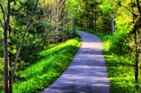 "Up We Go &amp; Around the Bend" by icedancer, photography->landscape gallery