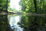 Fuzzy Creek by imbusion, photography->shorelines gallery