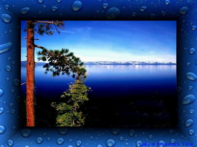 Click here to view at full resolution.