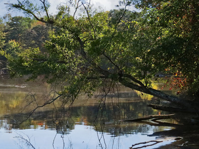 Click here to view at full resolution.