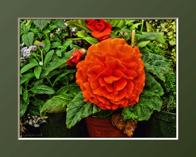 Click here to view at full resolution.