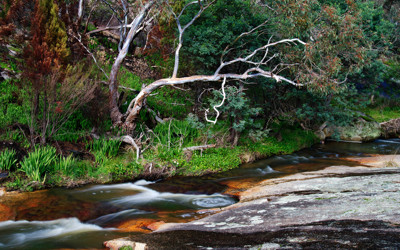 Click here to view at full resolution.