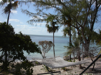 Click here to view at full resolution.