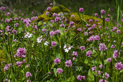 Click here to view at full resolution.