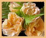 Late Roses by LynEve, photography->flowers gallery