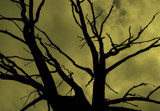 After Stephen King book:)) by annie100, Photography->Landscape gallery