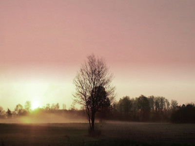 Click here to view at full resolution.