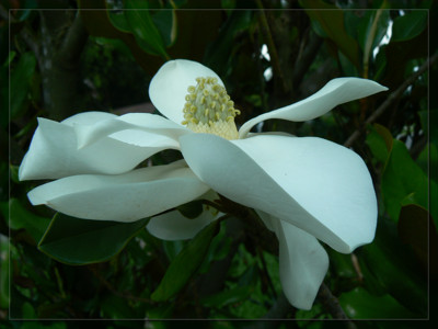 Click here to view at full resolution.