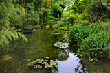 Claude Monet's garden III by ovar2008, photography->gardens gallery