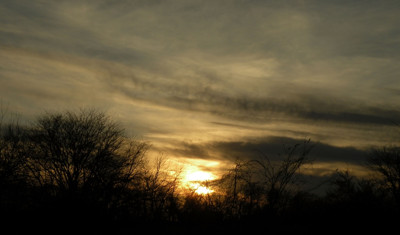 Click here to view at full resolution.