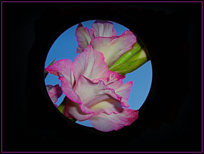 Click here to view at full resolution.
