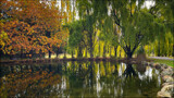Here Comes Autumn by LynEve, photography->landscape gallery