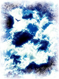 Bird! by Starglow, photography->skies gallery